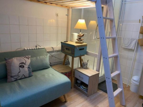 Paris Studio Rose & Stouring